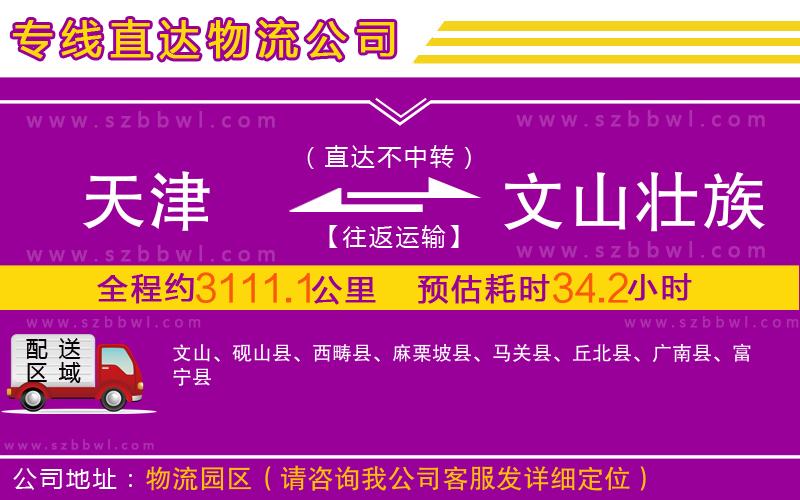 天津到文山壯族苗族自治州物流公司
